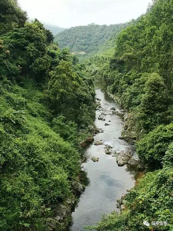 动漫传奇2.4
